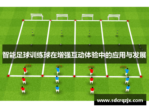 智能足球训练球在增强互动体验中的应用与发展